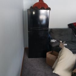 Hair Refrigerator 9.1 Cu.feet