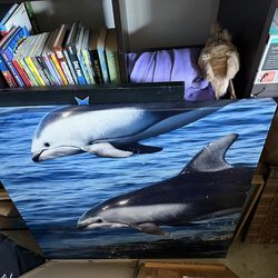 Dolphin painting