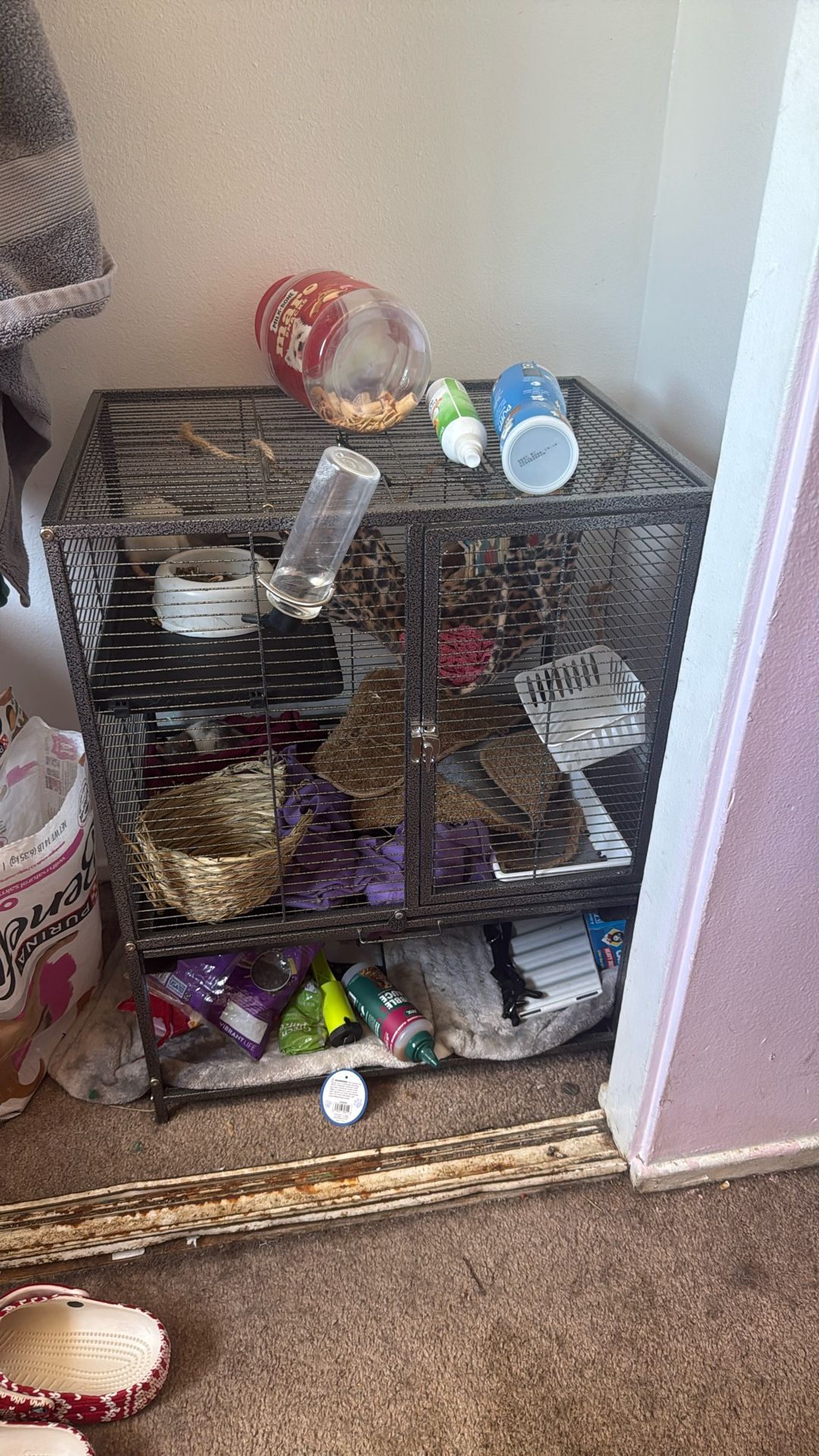 Pet Cage for rats, ferrets, guinea pigs, etc