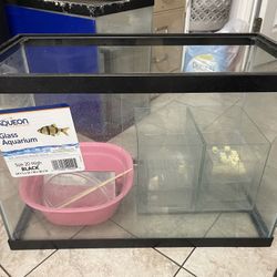 20 Gallon Tank
