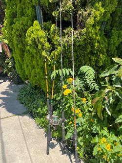 FISHING 🎣 🐠 POLES $150 for all