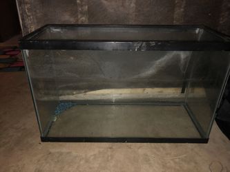 20 gallon tank