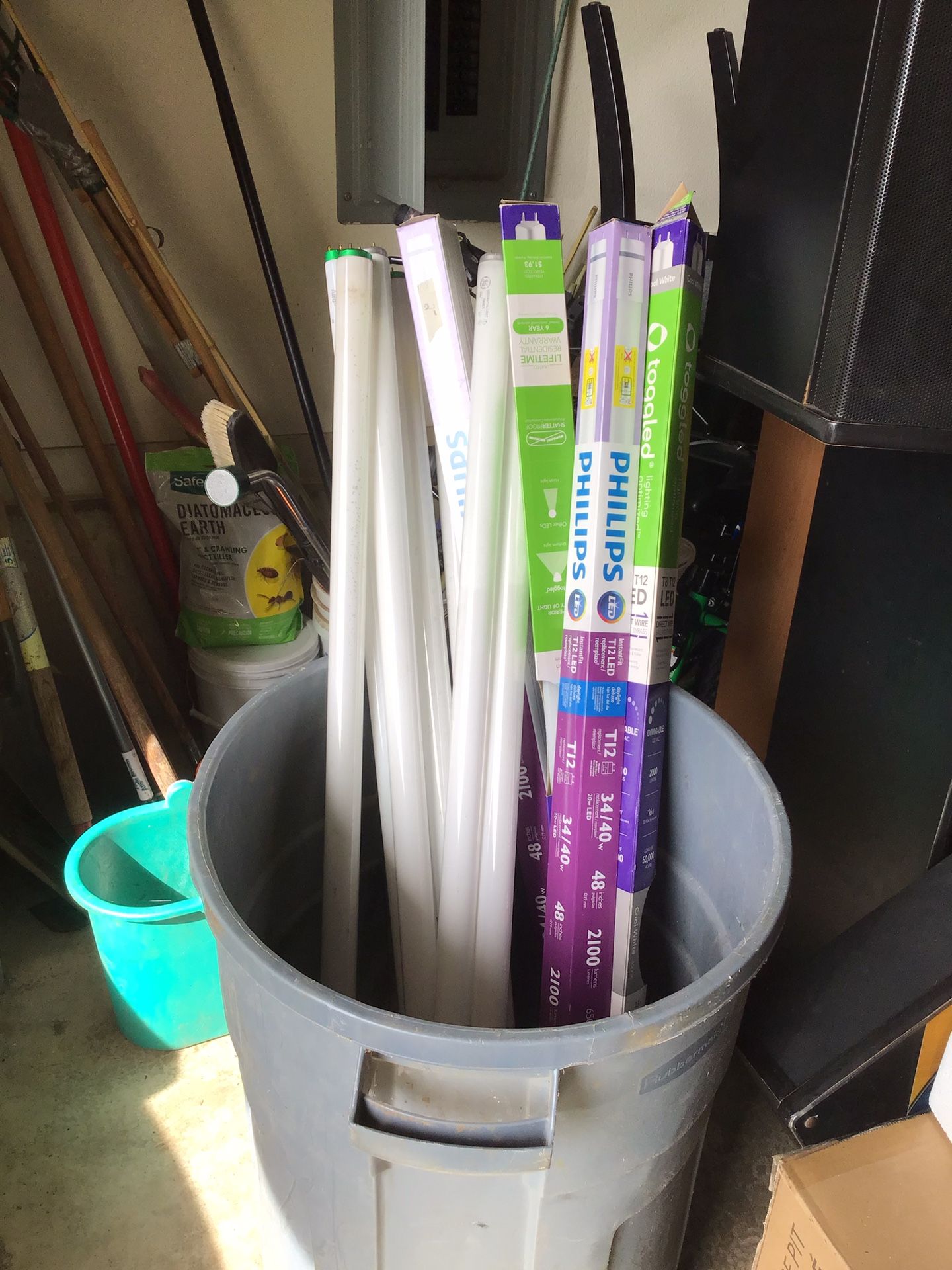 Fluorescent Bulbs -Free