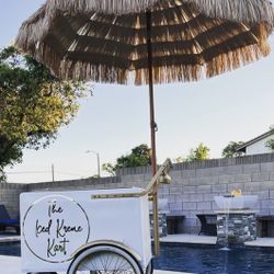 Ice Cream Cart Paleta Cart