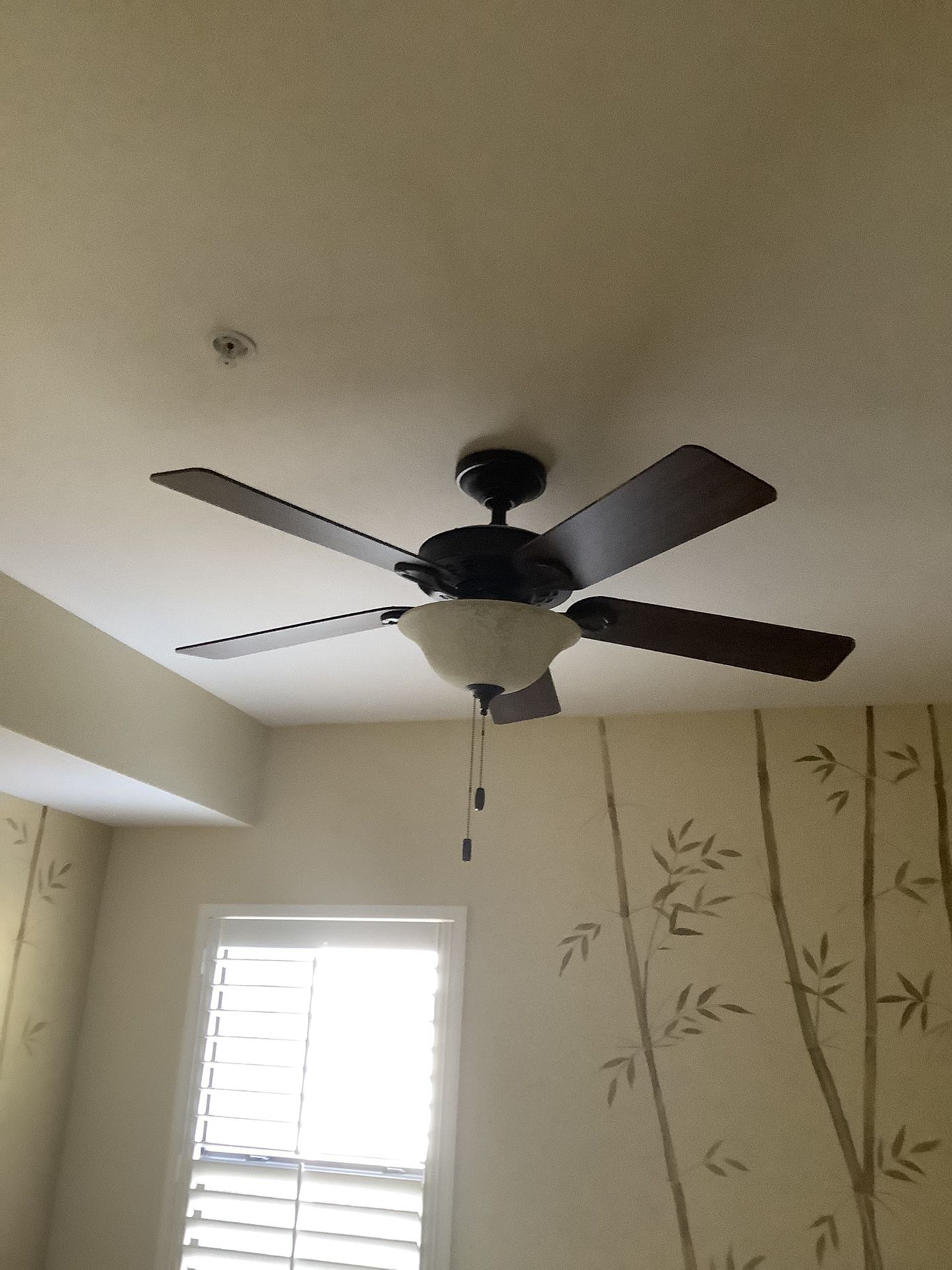 HUNTER 52” BROWN CEILING FAN WITH FROSTED GLASS LIGHT