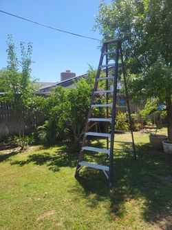 Ladder 10feet