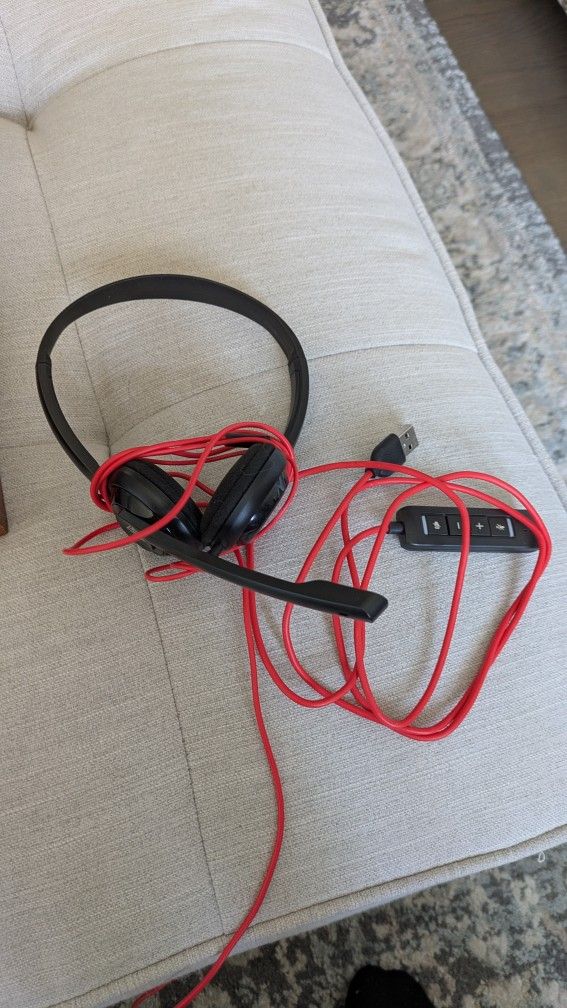 Headset With Microphone