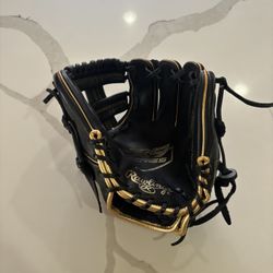 Rawlings Training Glove 
