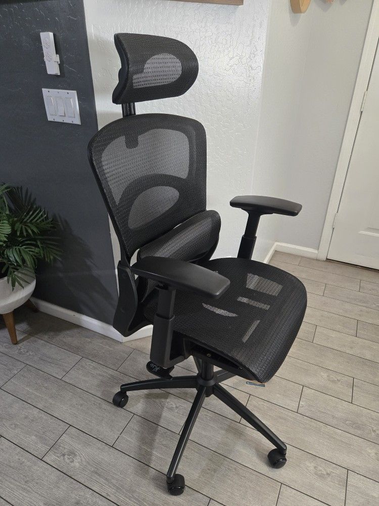 GABRYLLY Ergonomic Office Chair, High-Back Desk Chairs with Adjustable Lumbar Support