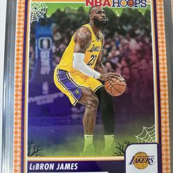 LeBron James Basketball Card 