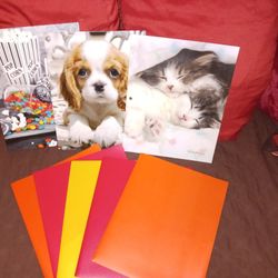 Plastic Pocket Folders And Design Folders $2 Each