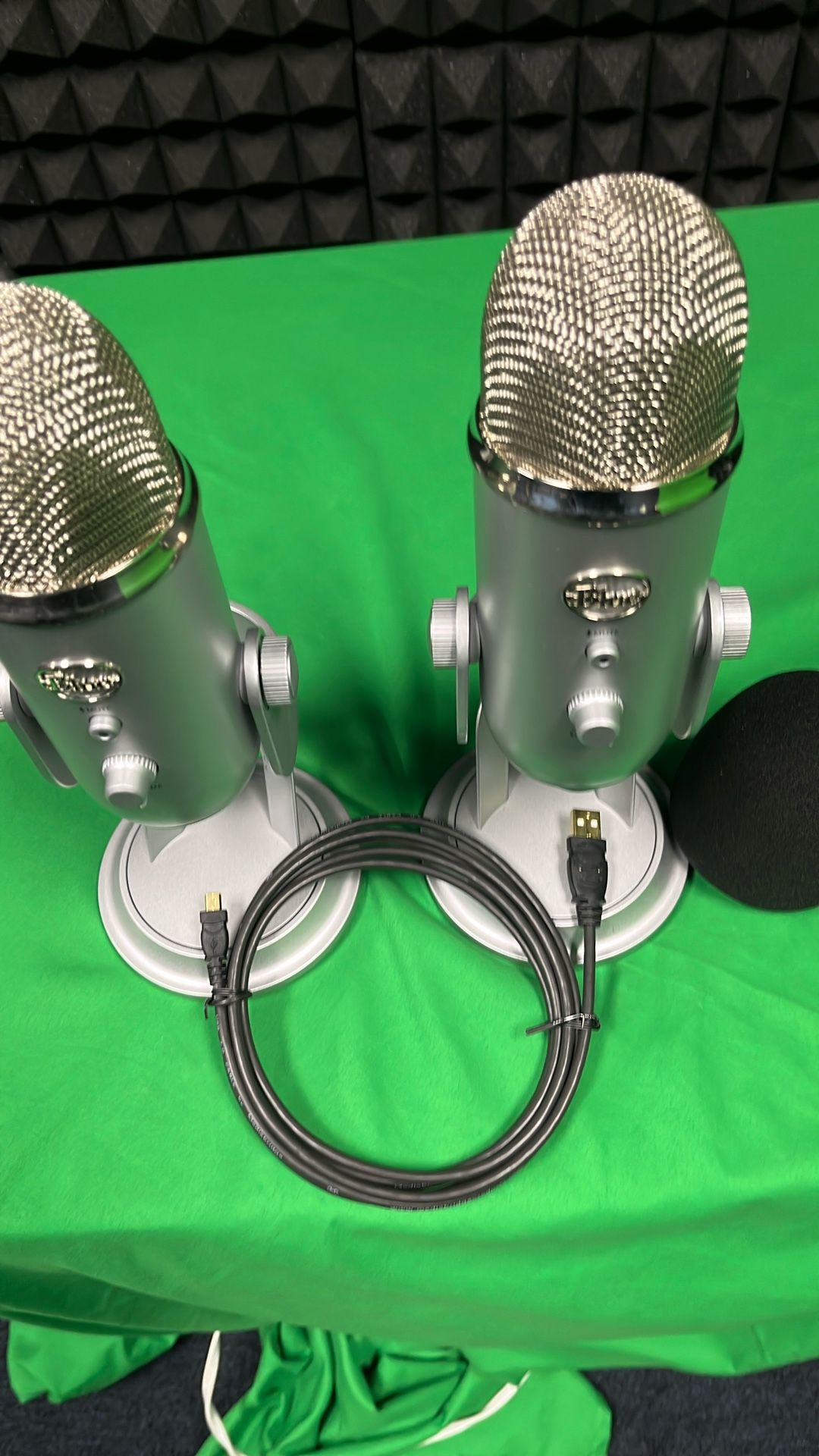 2 Usb Blue Microphones with cable