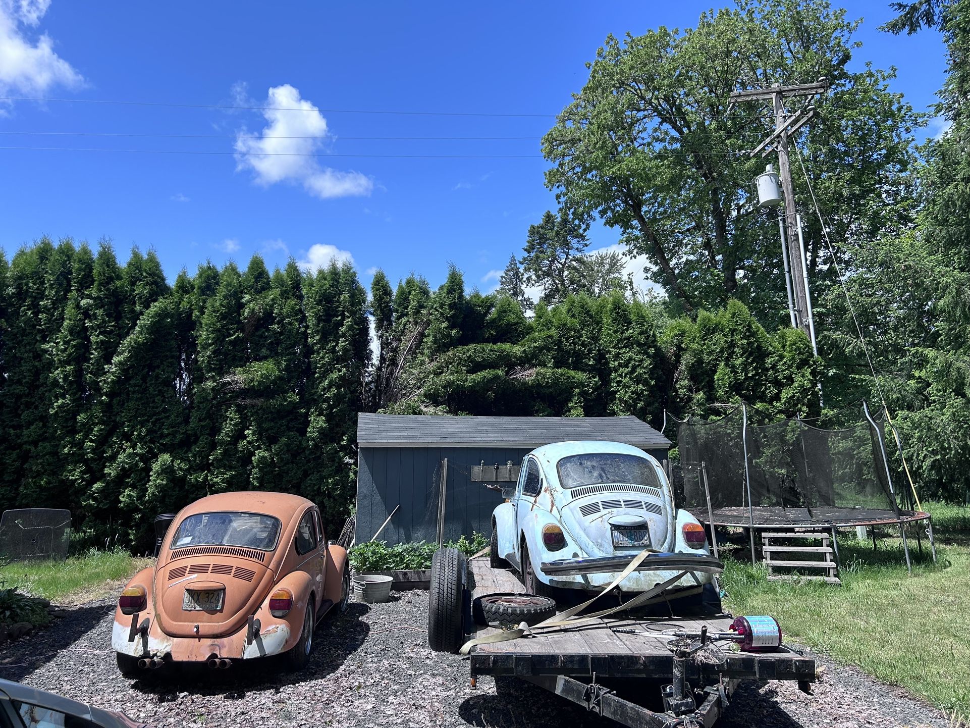 1974 Volkswagen Beetle