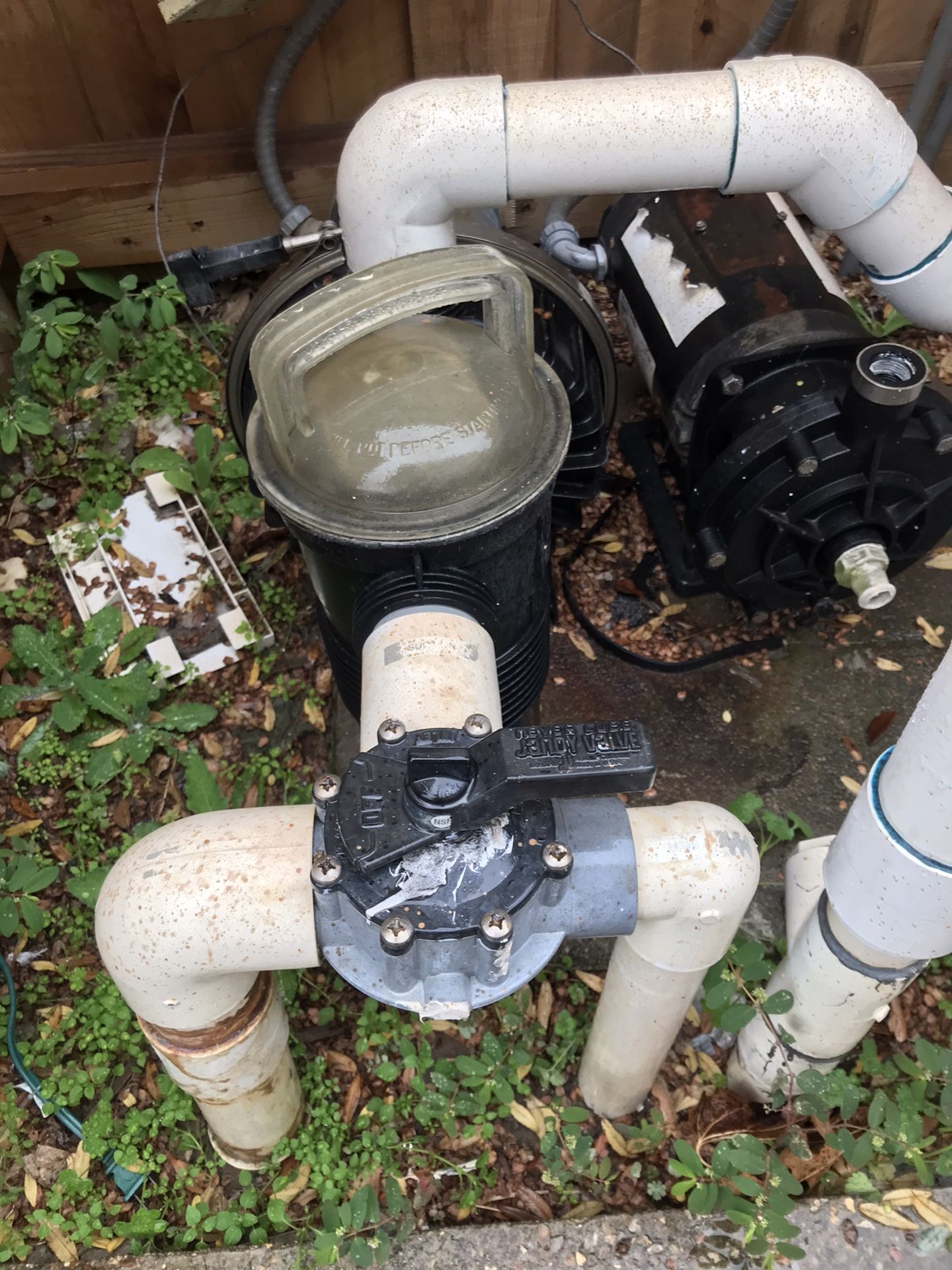 Limpieza De albercas