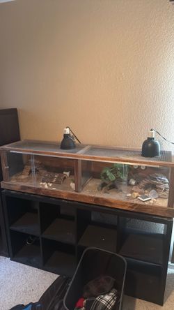terrariums or reptile enclosures