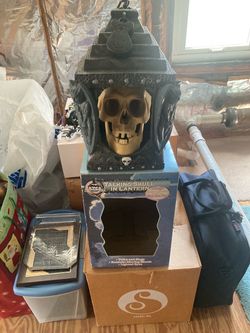 Talking and singing skull.