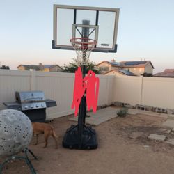 Basketball Hoop 