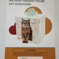 Cat Scratcher 