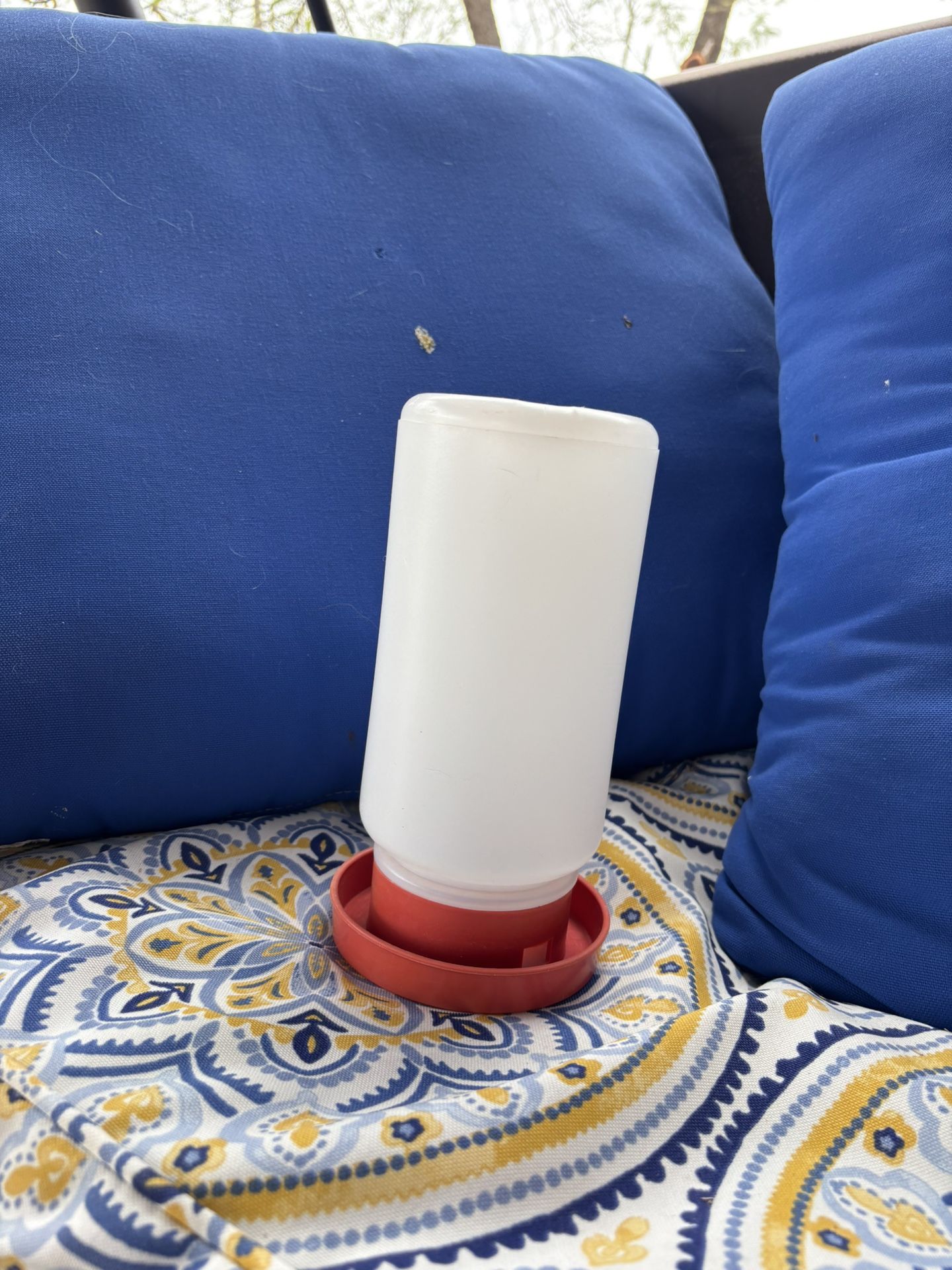 Baby Chicken Water/ Food Dispensing
