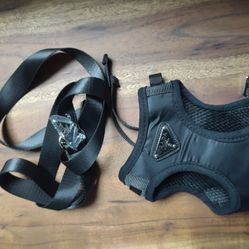 Small Dog Harness And Leash 