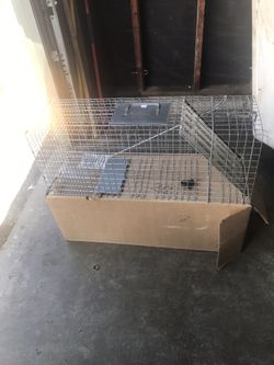 Small Animal Trap.