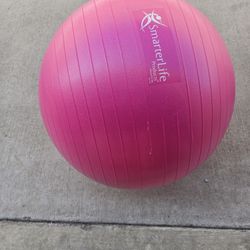 Smarter Life Exercise Ball 65 Cm/25.5 Inches