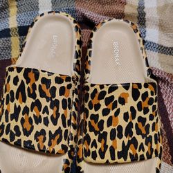 Bronax Slides 