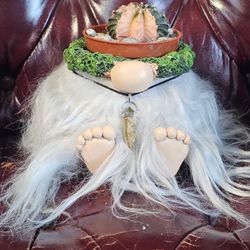 Gymno Exotic Cactus In Troll Pot