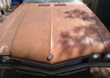 HOOD SKYLARK BUICK 1972 
