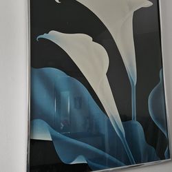 Framed Callalily Print