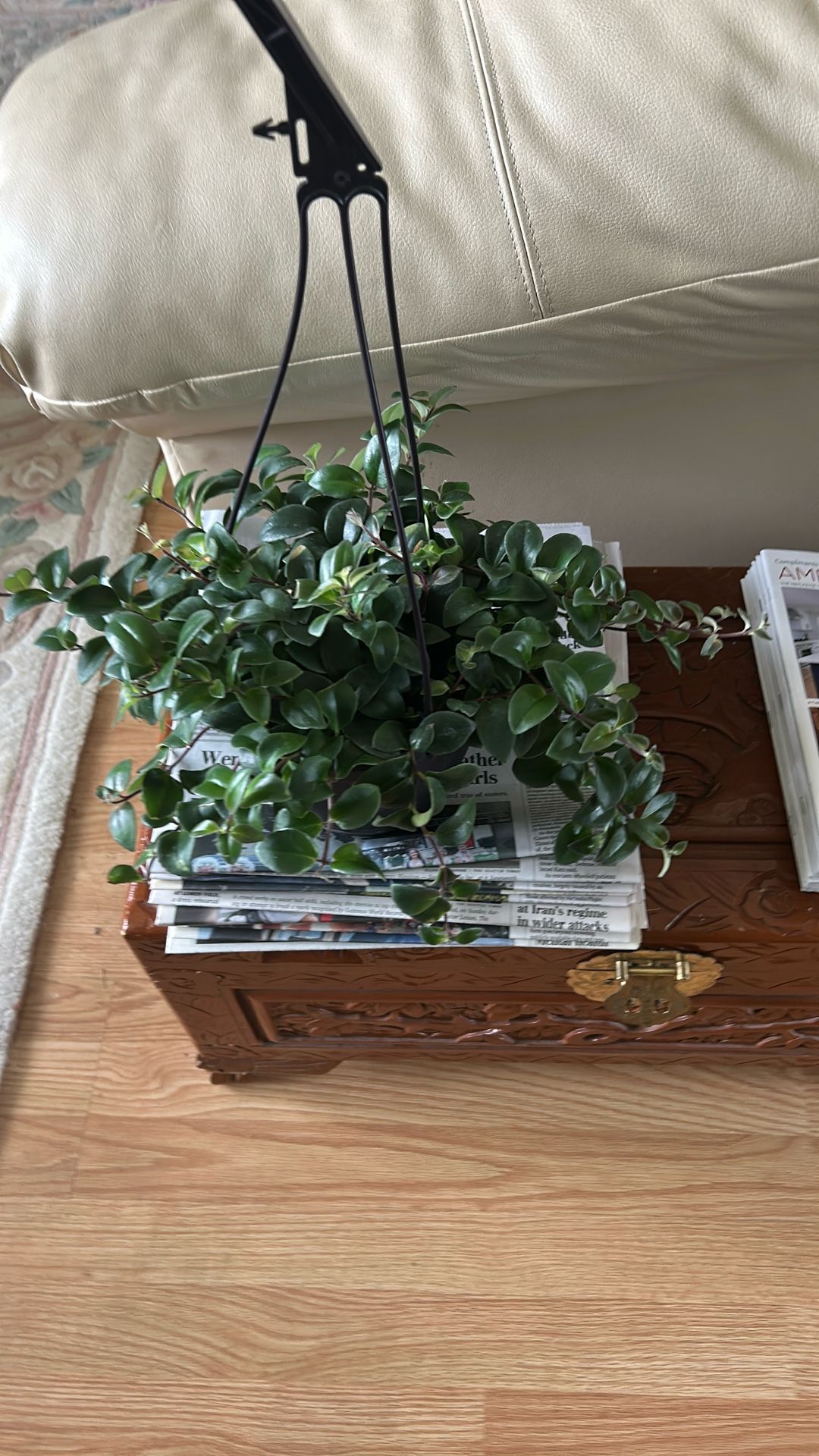 Lipstick Hanging Basket