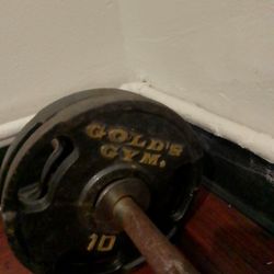 Golds Gym 40 Lbs With Curling Bar..