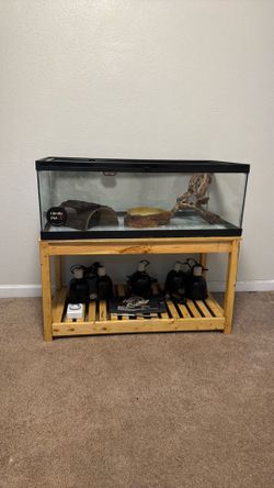 Terrarium Bundle