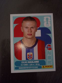 Haaland sticker
