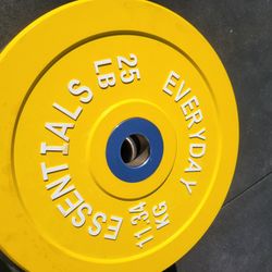 25lb Weight Set