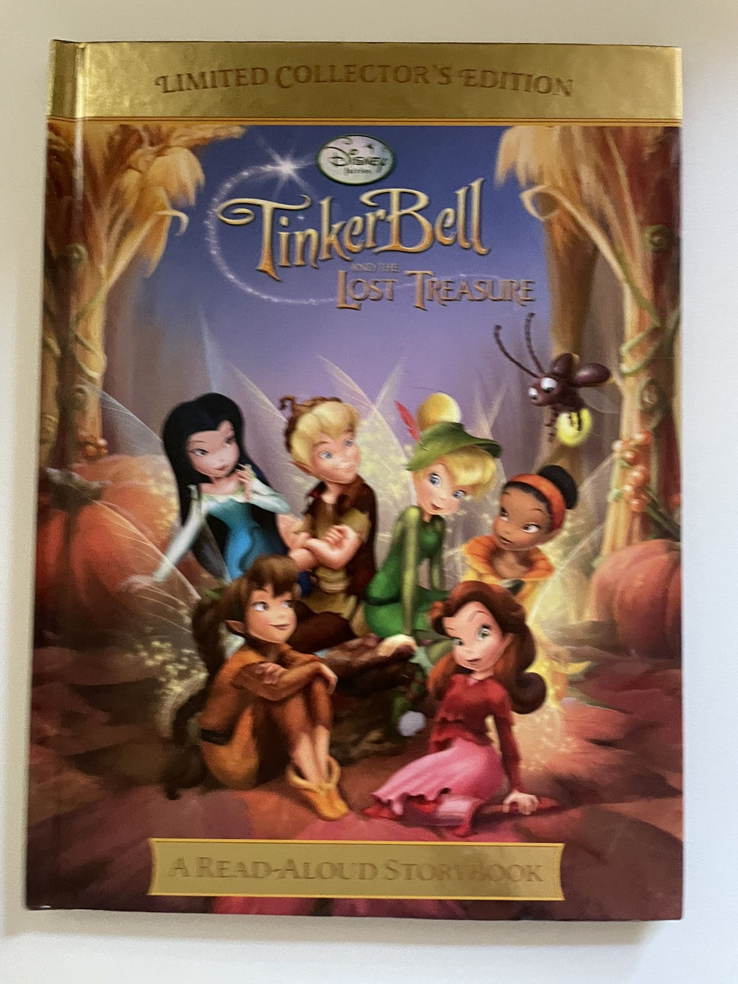TinkerBell And The Lost Treasure Book