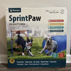 Backyard Dog Agility Set