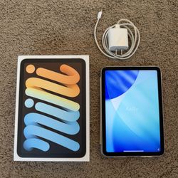 iPad Mini 6 Starlight