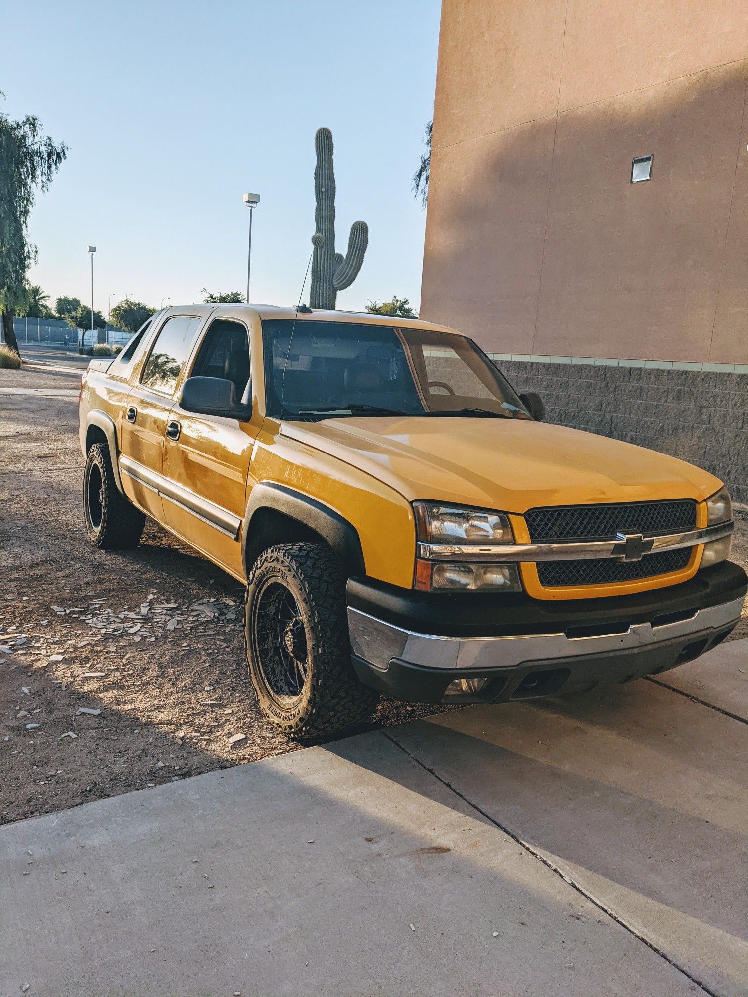 2003 avalanche z66