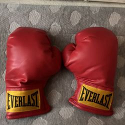 Everlast Boxing Gloves 