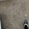 Designer plug