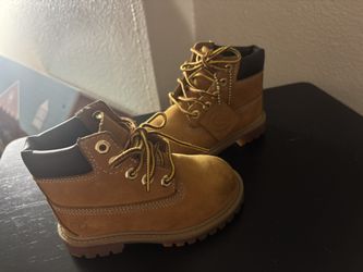 Toddler Timberlands Size 7c