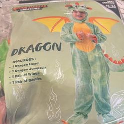 Dragon Custom