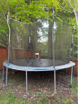 Trampoline (free)