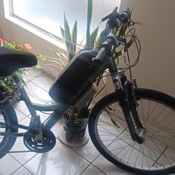 Electric Bikes 