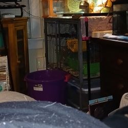 Ferret Cage 