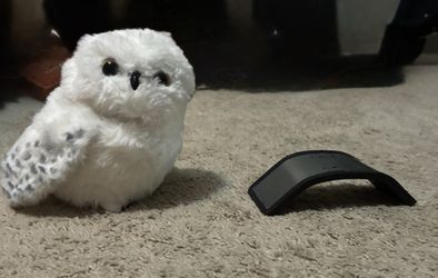 Owl from Universal Studios