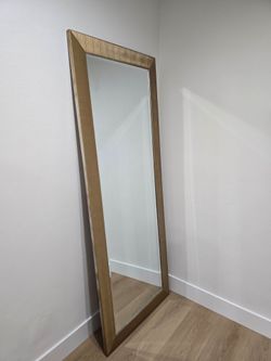 79"x 31" Full Length Standing Floor Mirror