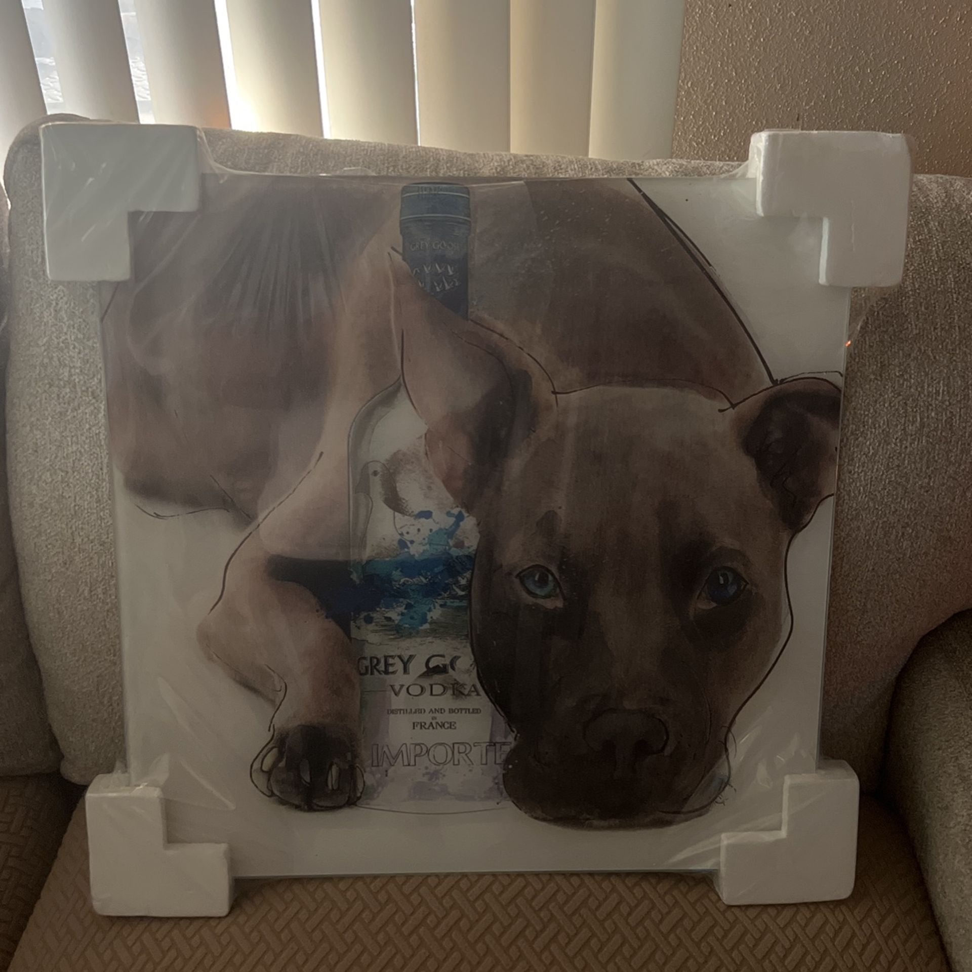 NWT! Grey Goose Vodka & Pitbull