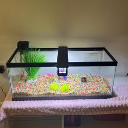 20 Gallon Long Fish Tank